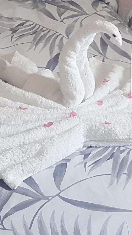 Apartma Eli2 Daire Koper Dış mekan fotoğraf
